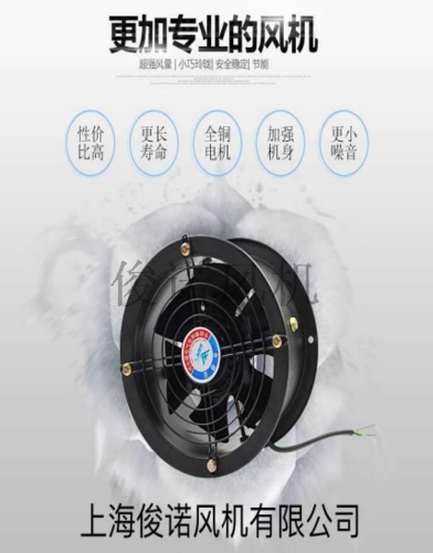 外轉(zhuǎn)子軸流風(fēng)機
